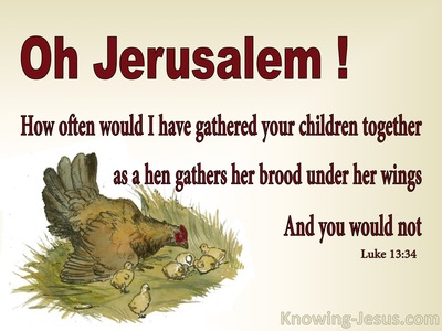 Luke 13:34 As A Hen Gathers Her Brood Under Her Wing (beige)
